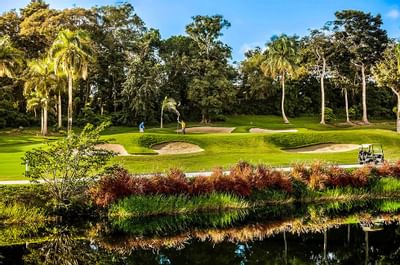 Golfing at Dorado Beach Resort