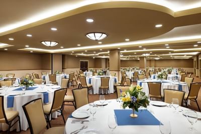 A large banquet hall with round tables set for dining at Elevation Resort and Spa.