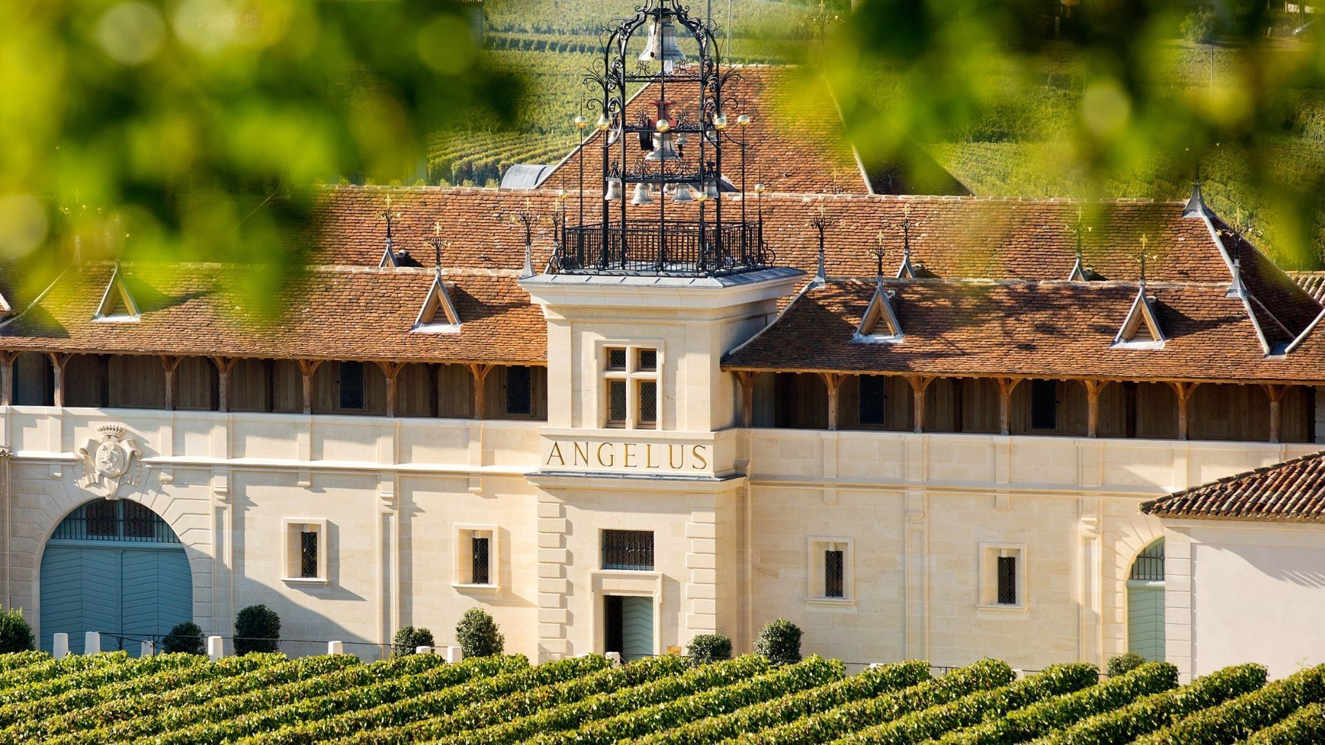 Château Angelus building with vineyard in front.
