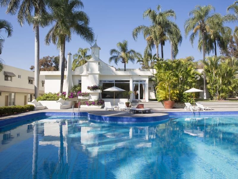 Coconut trees by the outdoor swimming pool at Gamma Hotels