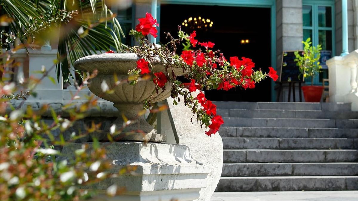 Ext-Salies-2-ConvertImage