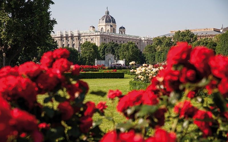 Red rose garden in Vienna’s Volksgarten with a view of the Kunsthistorisches Museum.