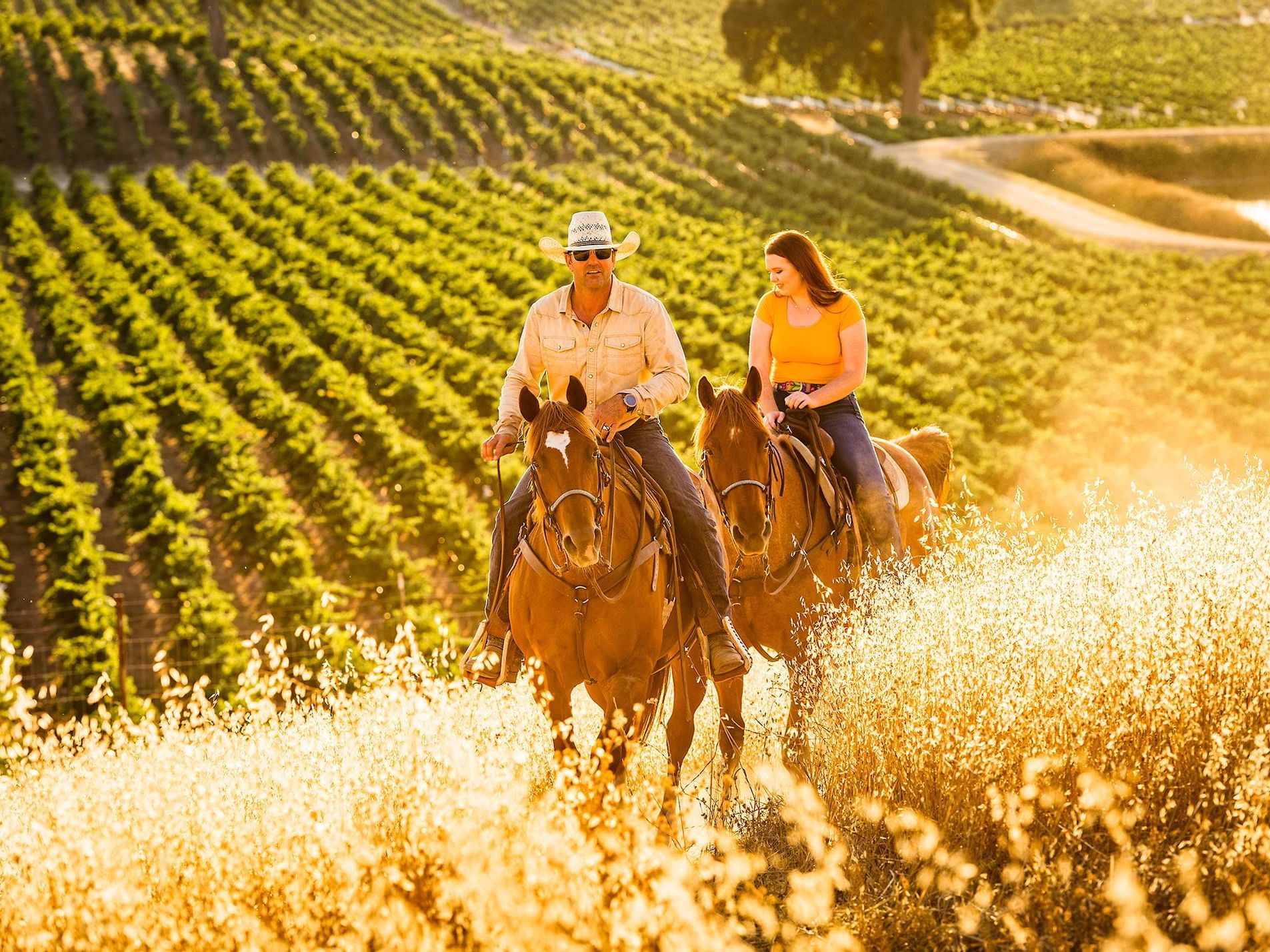 Horseback Riding through Cass Vineyard