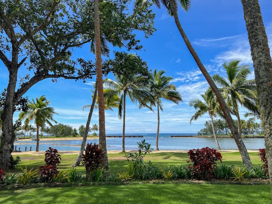 Palm trees and lush greenery overlook the calm ocean at The Naviti Resort - Fiji.