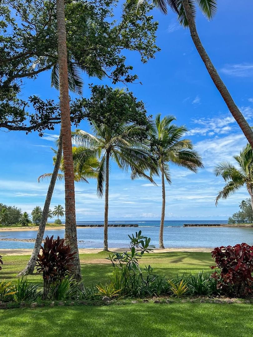 Tropical beach view with palm trees by a sandy shore under a blue sky at The Naviti Resort - Fiji
