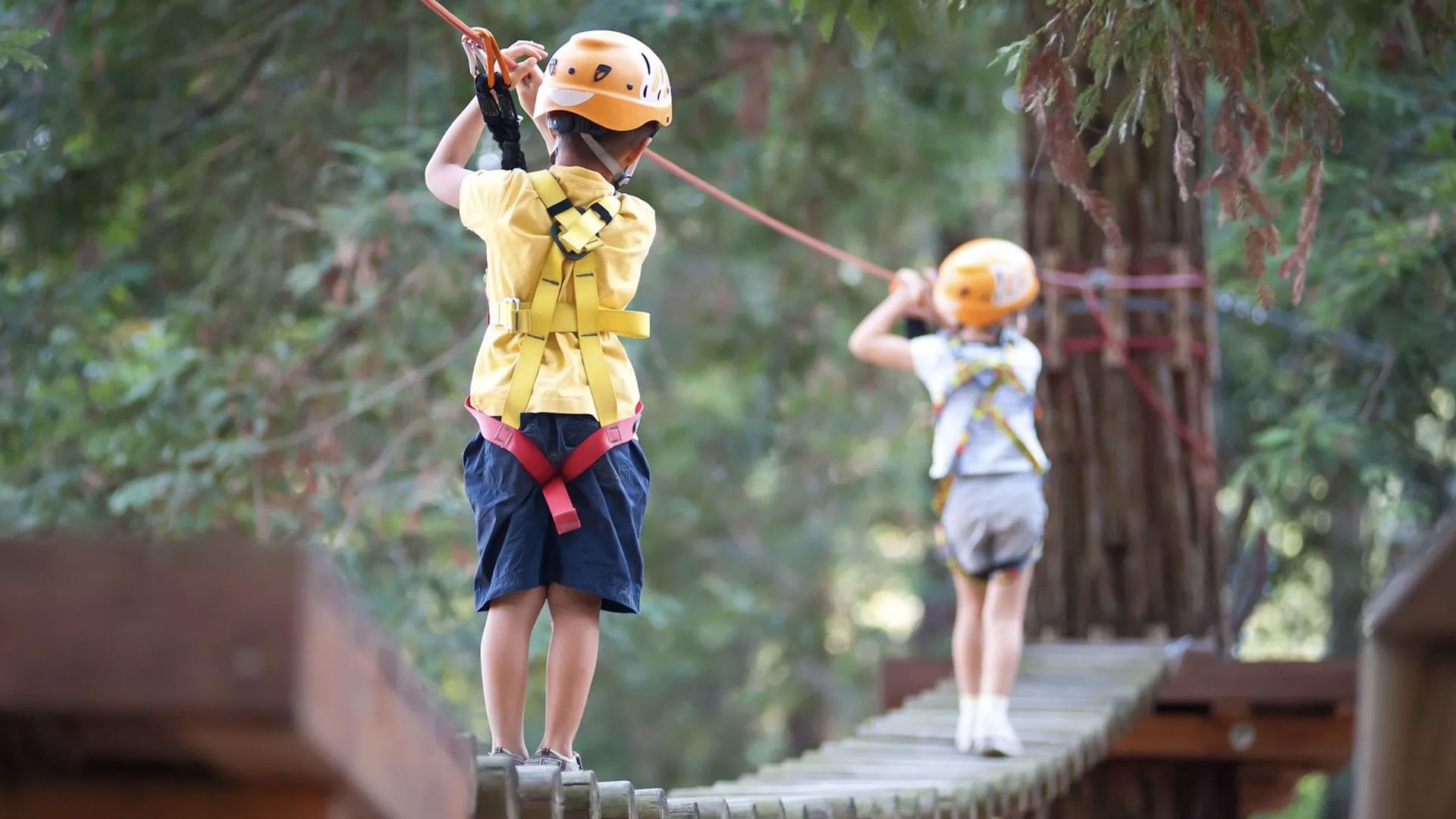 Kids climbing trees in Jungle Park near Village Hotels Swindon