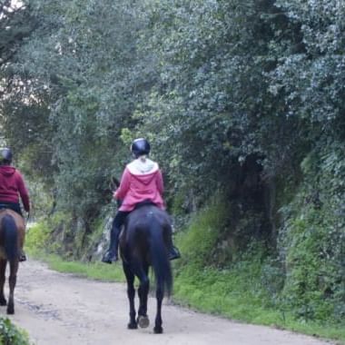Guided Horseback Riding Tour at Quinta do Pisão in Cascais