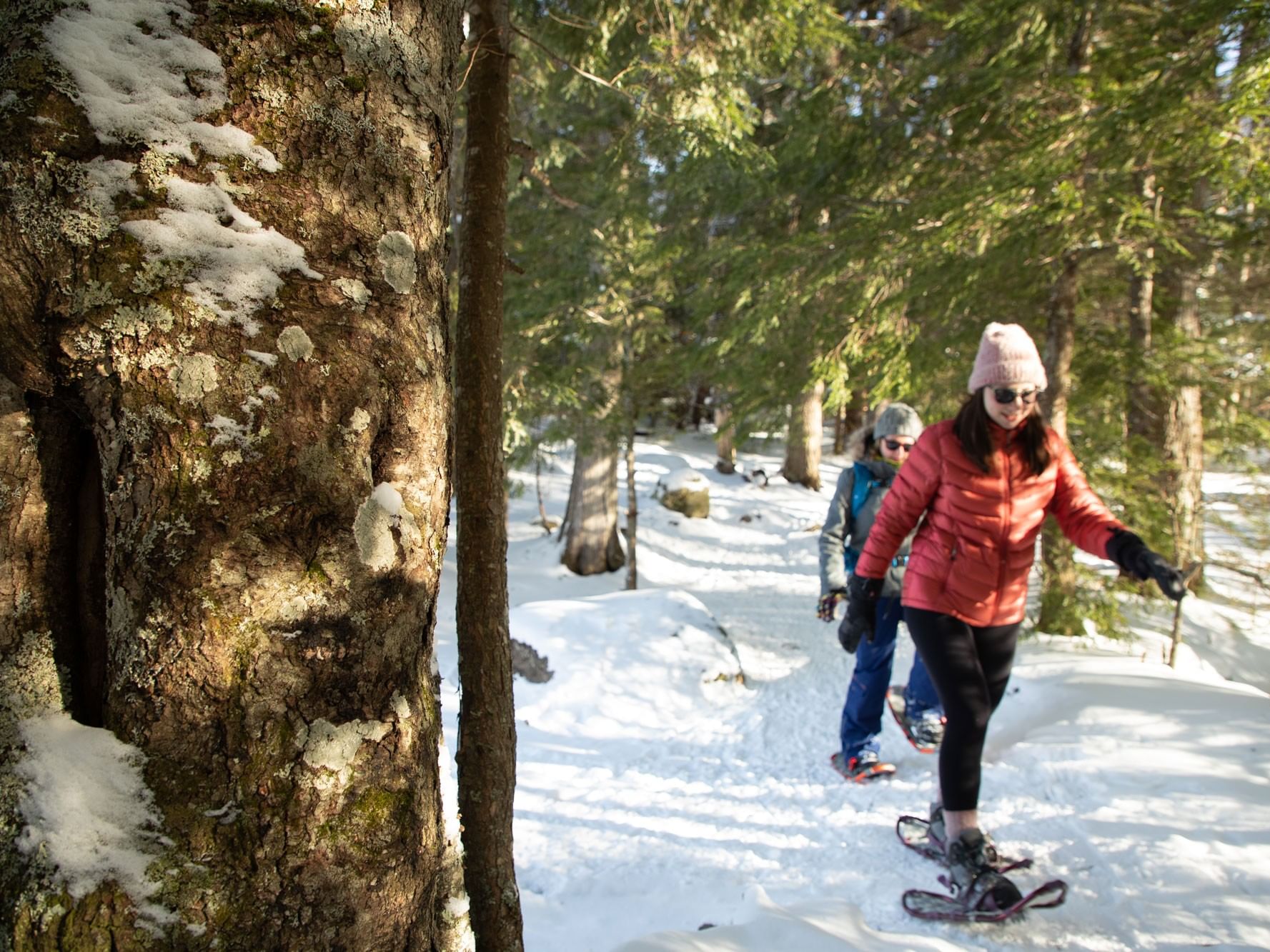 Two people snowshoeing through snow-covered trail in forest illustrating The More the Merrier offer.