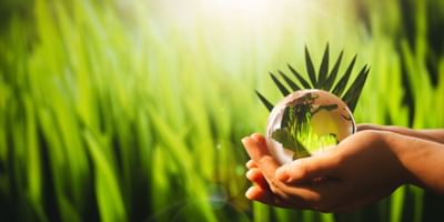 Hands cradling a glass globe with green leaves and a silhouette of a tree at Amora Herencia Riverwalk Melbourne