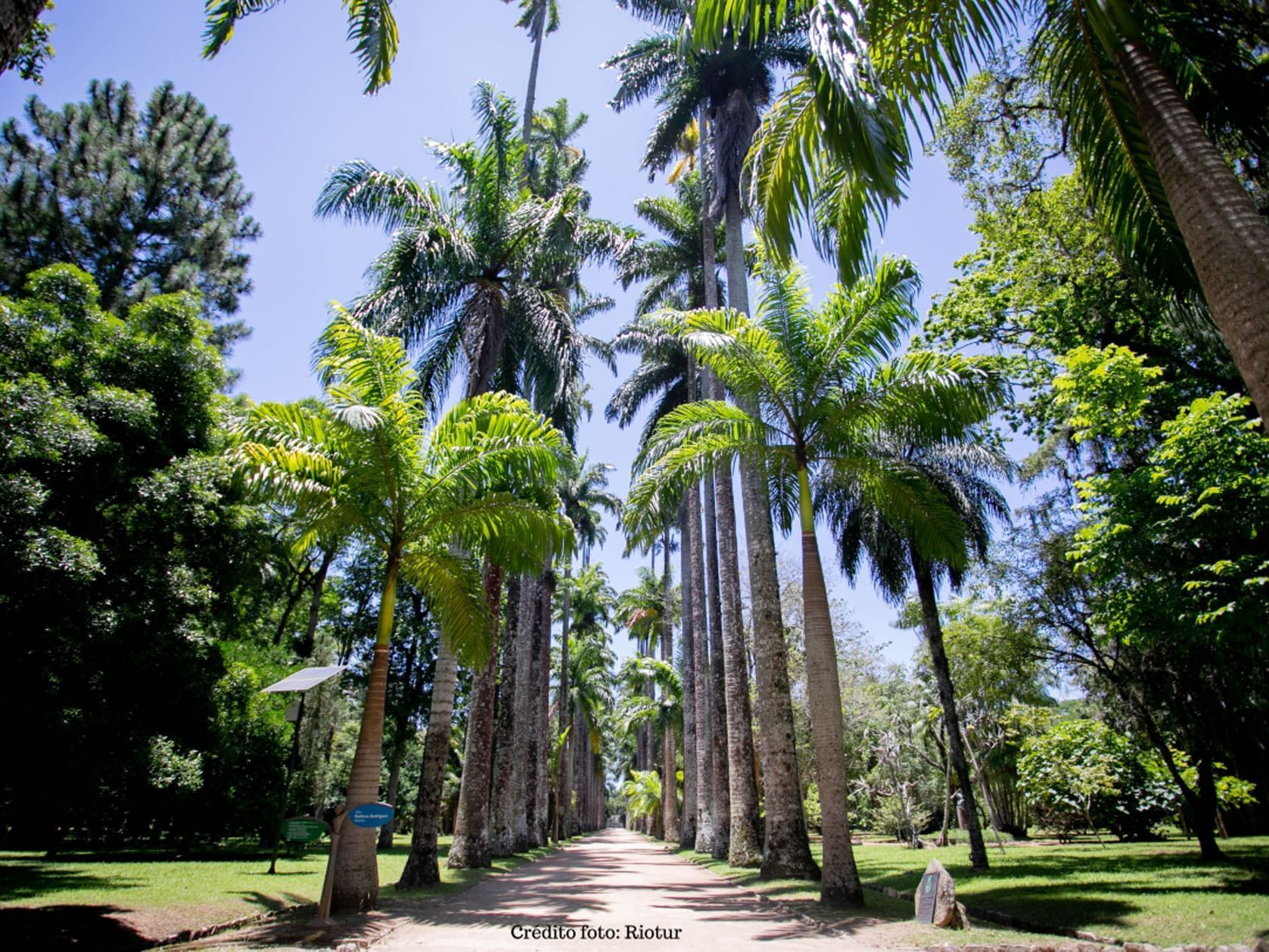 Botanical Garden near Sol Ipanema Hotel