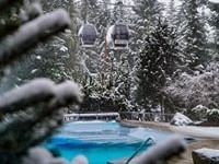 Gondola ride through snowy pine trees at Blackcomb Springs Suites