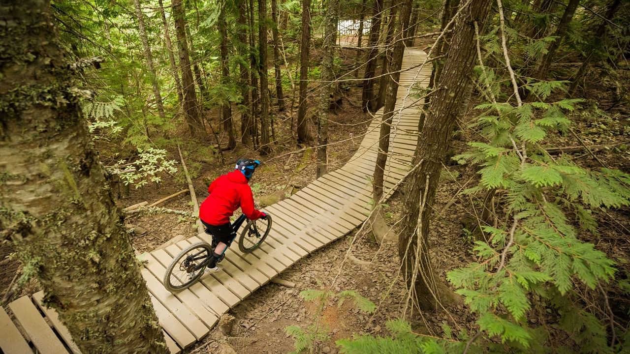 mountain bike bridge and rider