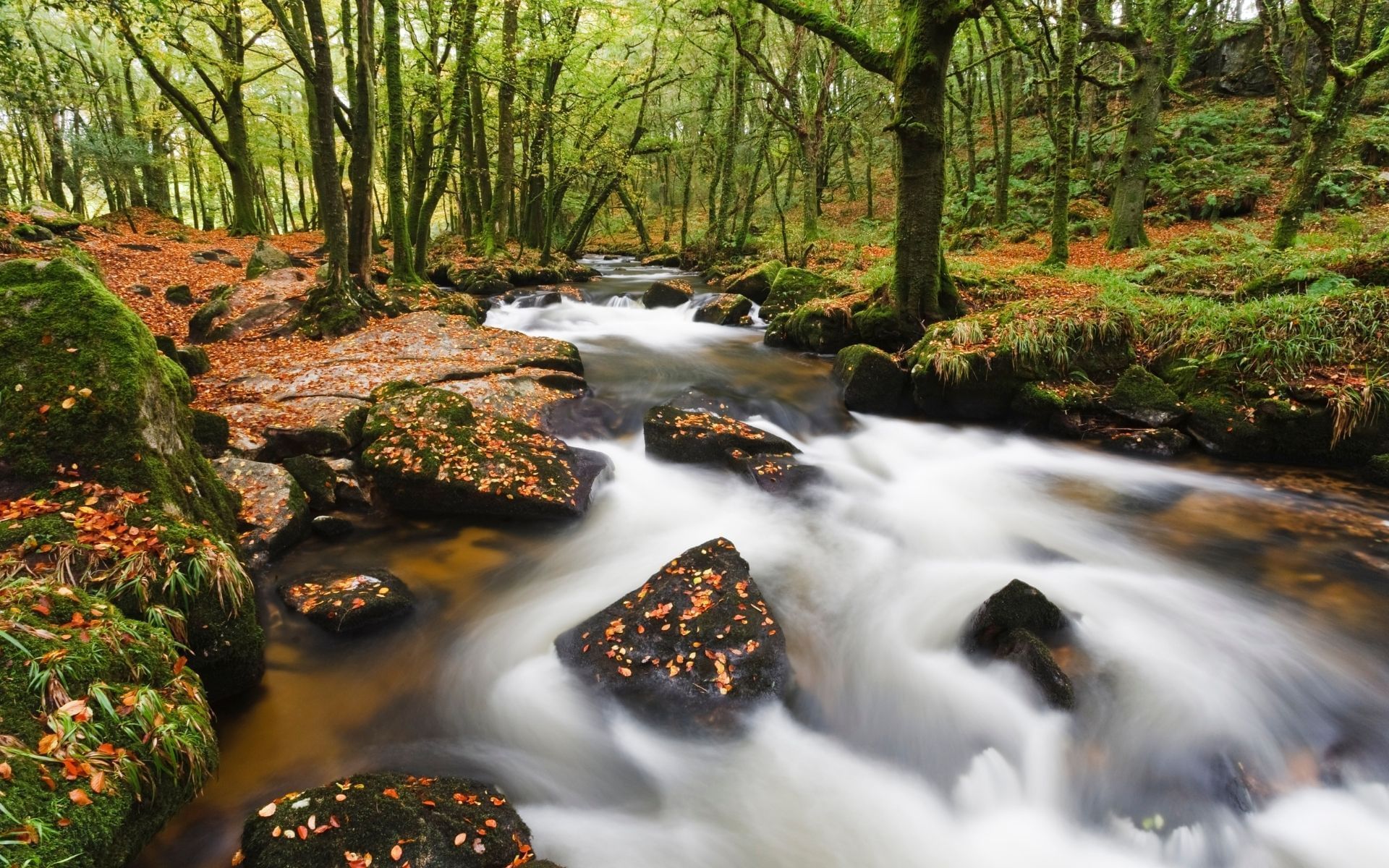Golitha Falls in Cornwall