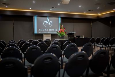 Theatre chair arrangement, conference hall at Amora Hotel