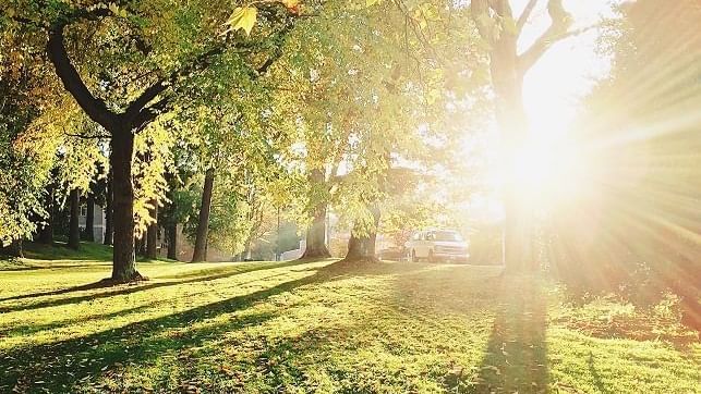 Cahill Park at Novotel Sydney International Airport