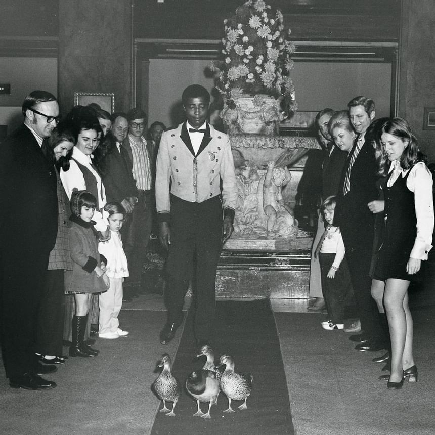 1968 image of Peabody Ducks at Peabody Hotels & Resorts