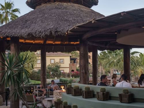 Clientes Relajándose junto a una fogata bajo un gran bar con techo de paja en el restaurante Pitahayas de Hacienda Del Mar Los Cabos