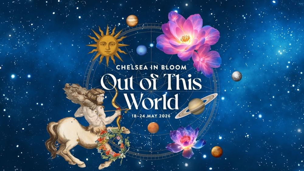 Chelsea in Bloom Out of This World floral art graphic at The Capital Hotel, Apartments and Townhouse