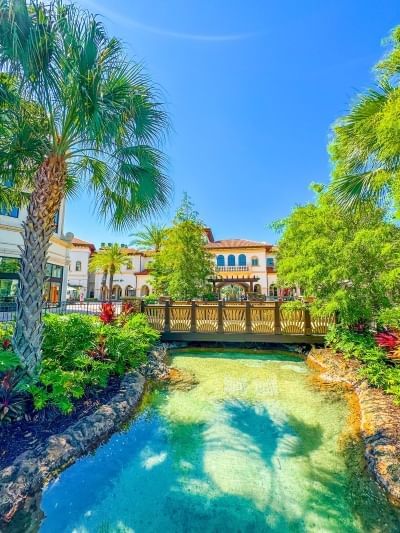 A clear blue and green river leading to a bridge with a background of white Mediterranean-inspired buildings at Disney Springs. 