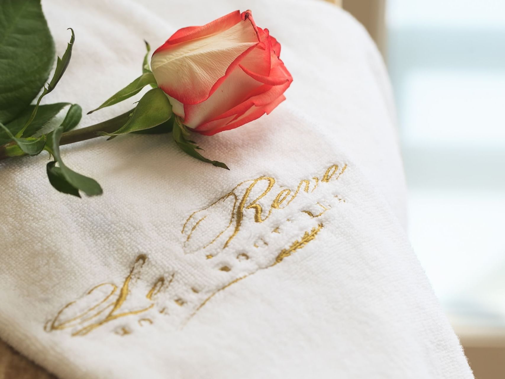 Close-up a rose on a towel at Hotel Boutique Le Reve