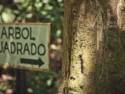 A sign board in Valle de Antón near Los Mandarinos Hotel