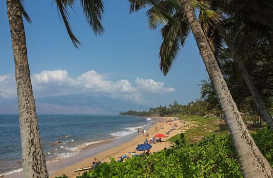 People enjoying the shore's tranquility at Maui Coast Hotel