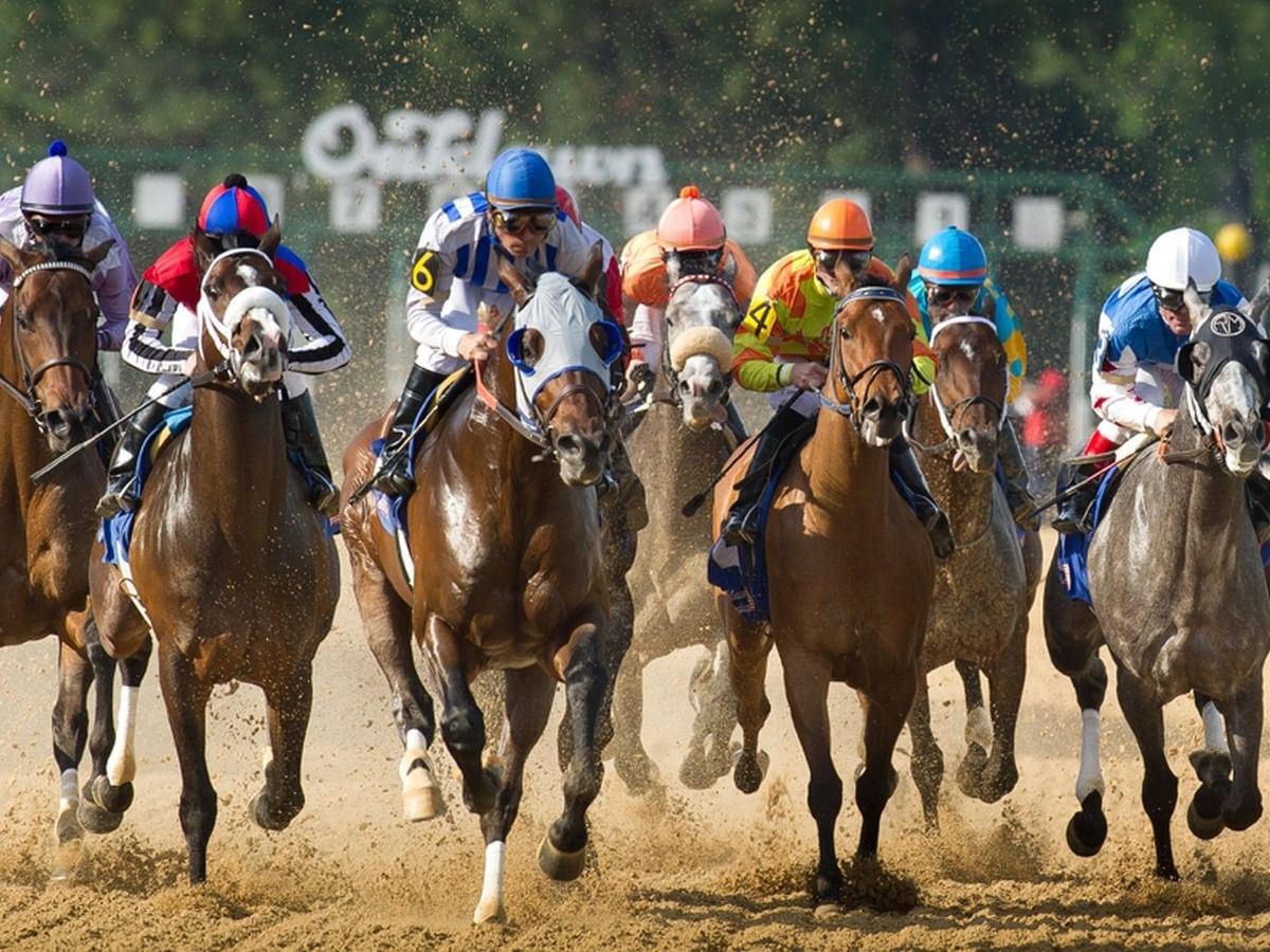 Jockeys racing horses on a dirt track under a bright afternoon sun near Arlington Resort Hotel & Spa