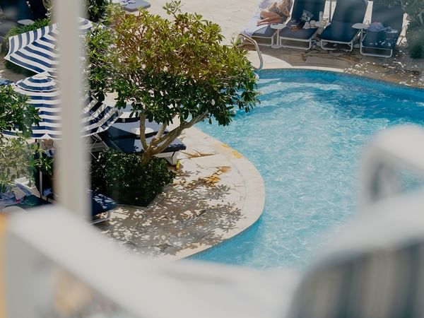 Curved pool with turquoise water by striped umbrellas and sun loungers under a leafy tree near guests at Elysium Hotels