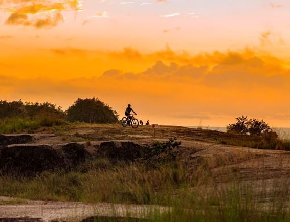 Man cycling on a field at sunset near Buena Vista Del Rincon
