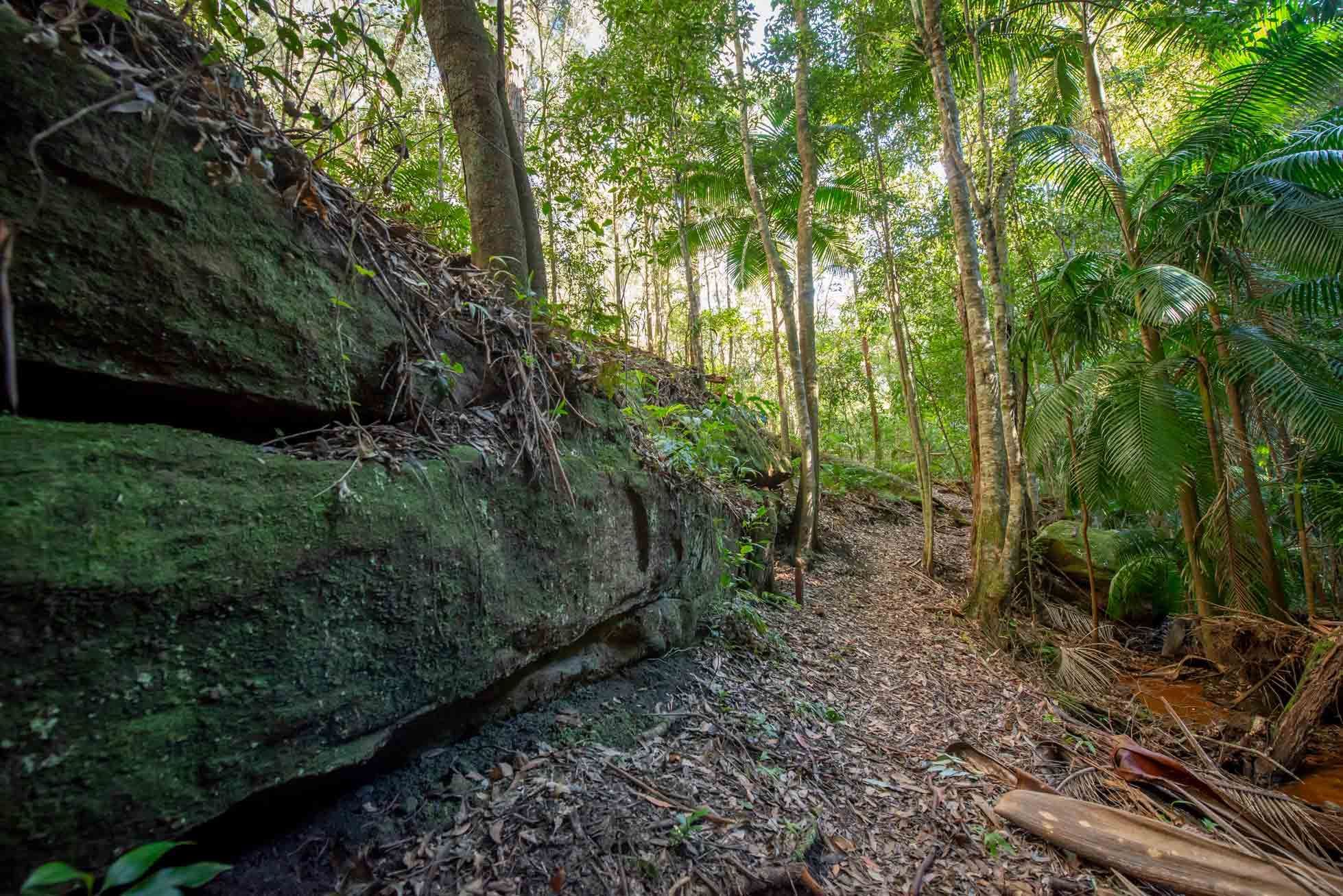 jilliby state conservation area nsw