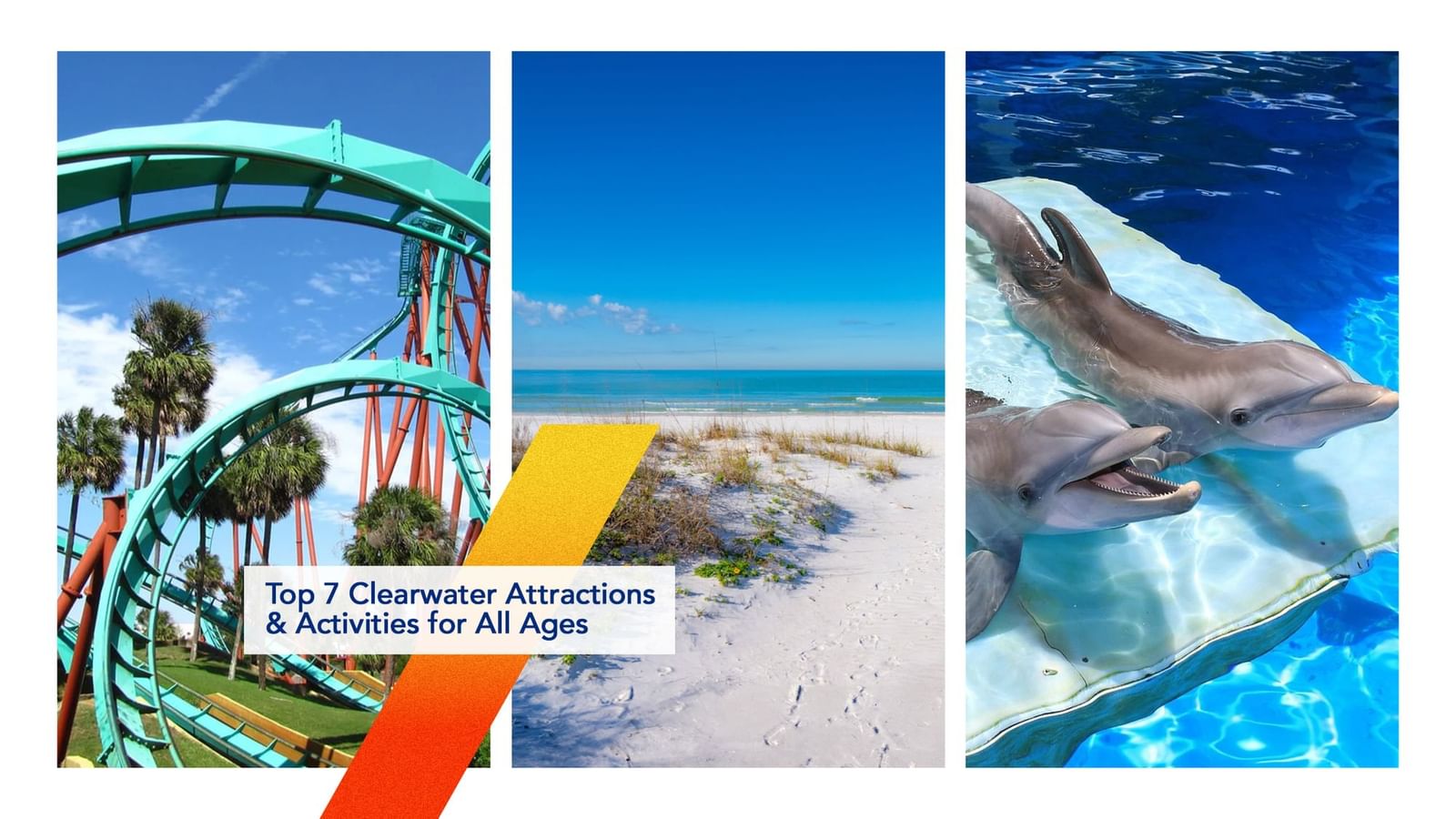 Top 7 Clearwater Attractions & Activities for All Ages