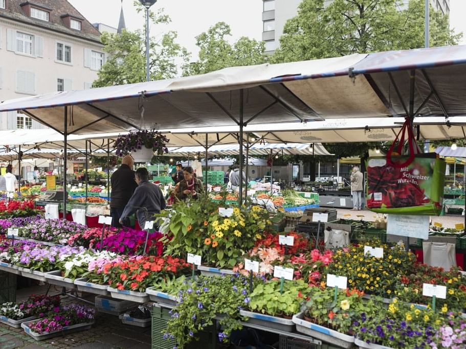 Close-up of a plant shop at Oerlikon market near Hotel Sternen