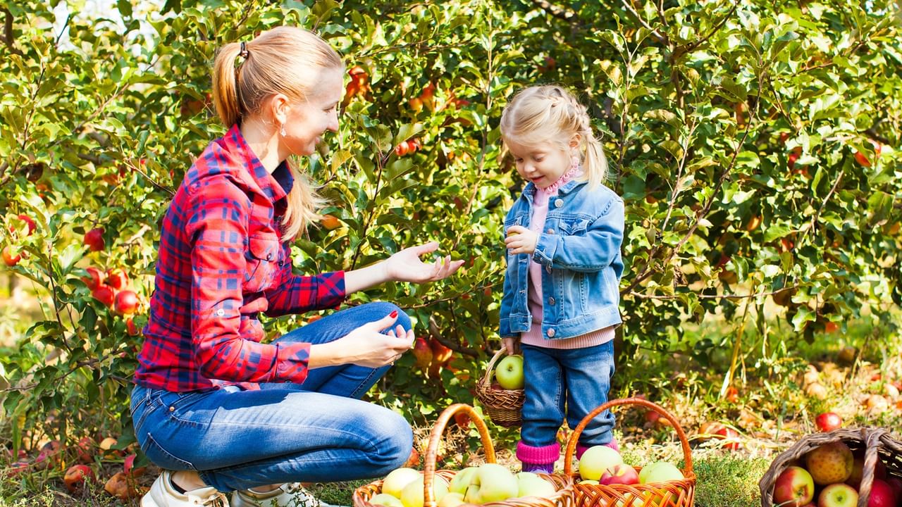 Mother and daughter apple picking