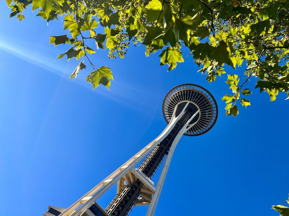 Space Needle tower seen from below under green leaves and a clear blue sky near Warwick Seattle