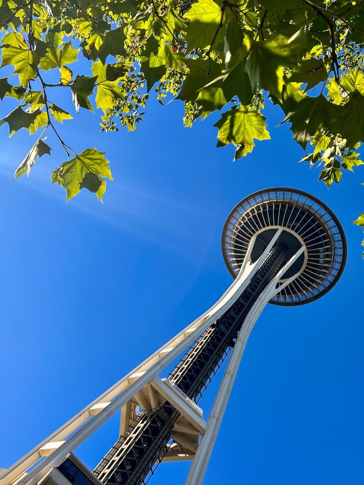 The Space Needle tower by green leaves under a bright blue sky near Warwick Hotels & Resort