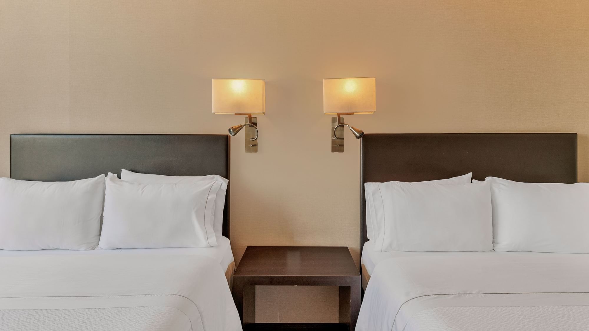 Fi Centro Historico 2024 (8)