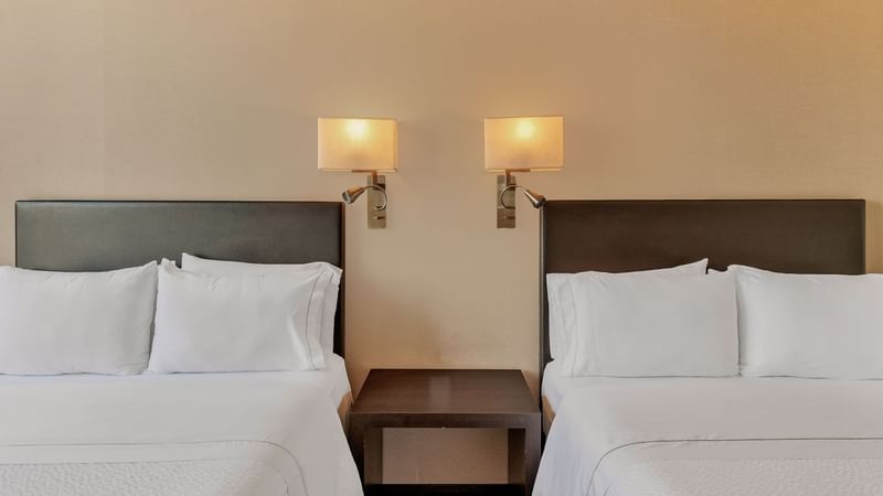 Fi Centro Historico 2024 (8)