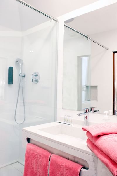 Superior Room bathroom