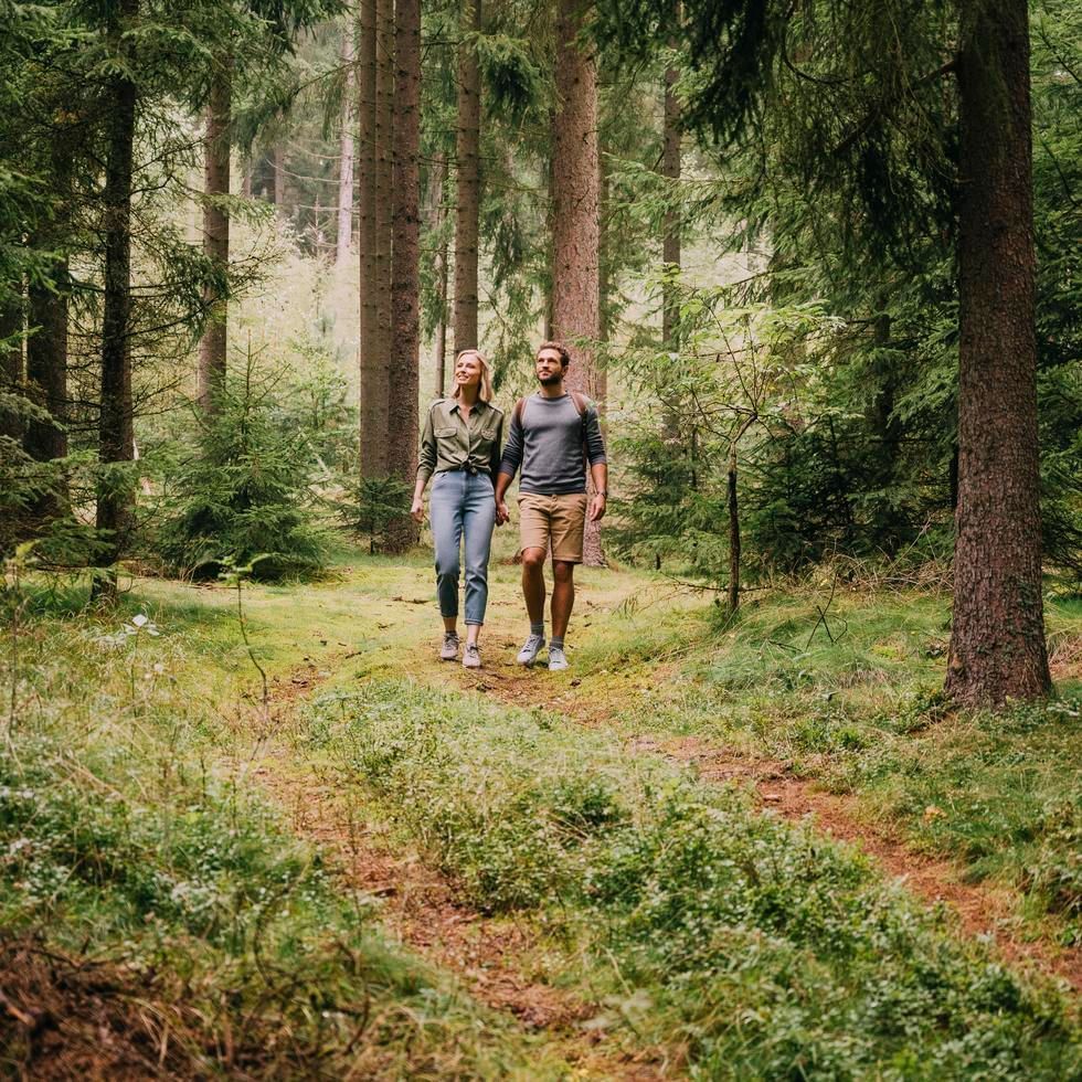 Coppia che cammina mano nella mano su un sentiero in una foresta.