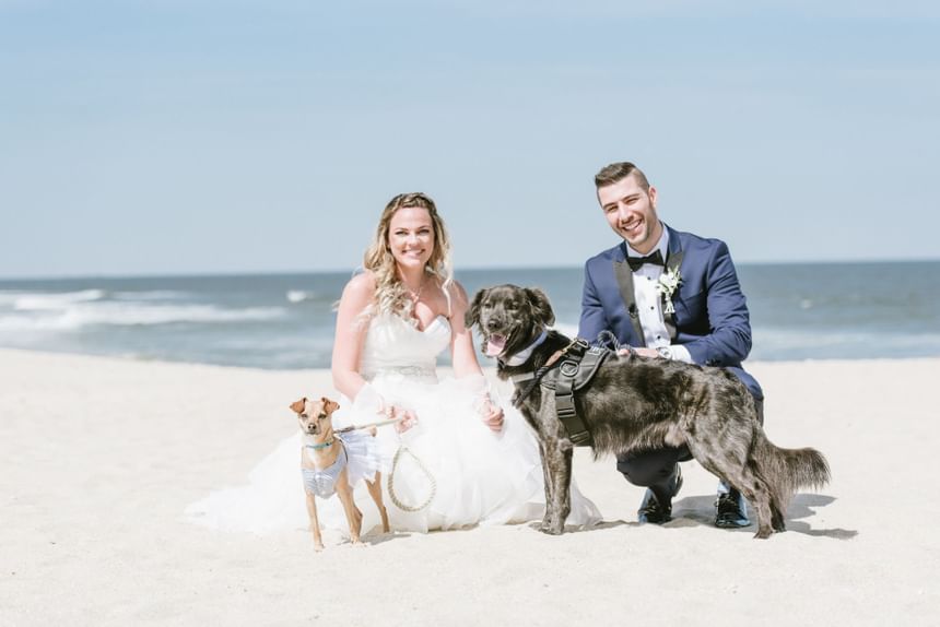 Newlyweds with two dogs posing by the beach near Ocean Place