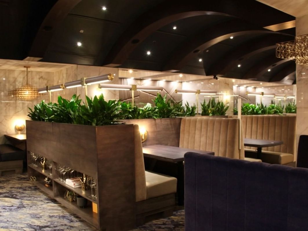 Chop Steakhouse & Bar Halifax Restaurant Sutton Place Hotel