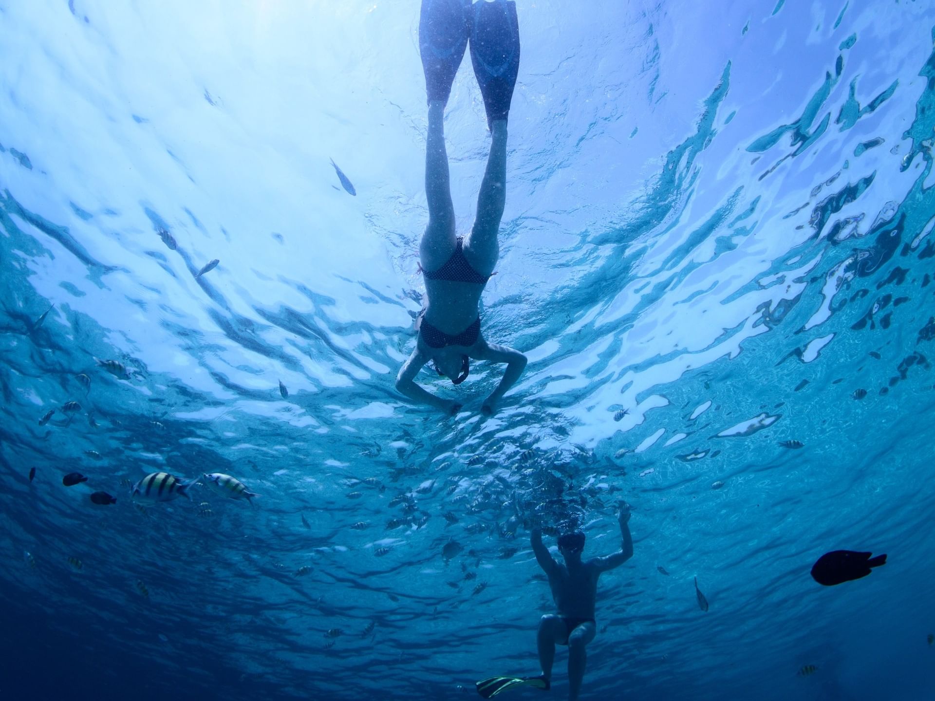 Guests snorkeling in blue water under the surface near Morgan's Rock Reserve & Ecolodge
