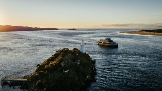 Cruise ship experience in Gordon River near Gordon River Cruise