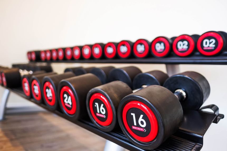 Closeup of dumbells in the gym at The View Eastbourne