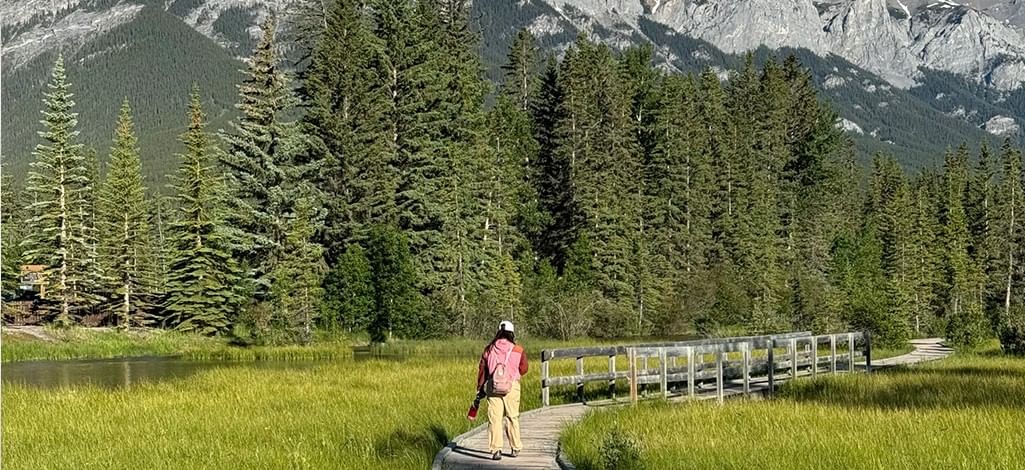 A person walks on a trail in Canmore.