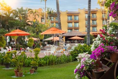 Resort with yellow building, open umbrellas, patio furniture, tropical plants, and colorful flowers in the foreground.