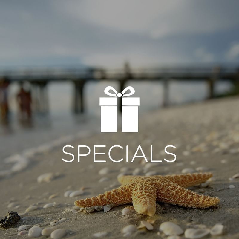 Starfish on beach with Specials icon overlay.