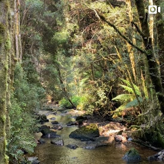 Natural landscape of Tasmanian Wilderness near Strahan Village