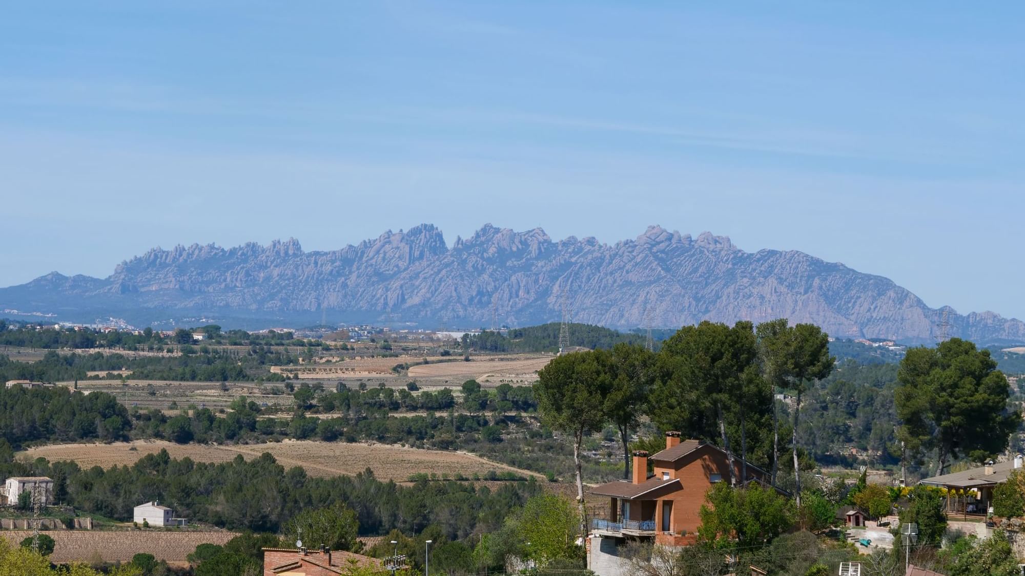 Bodega-Torello