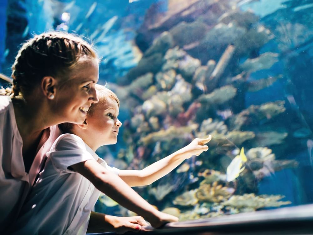 Interactive Aquarium near Fiesta Americana Condesa Cancún